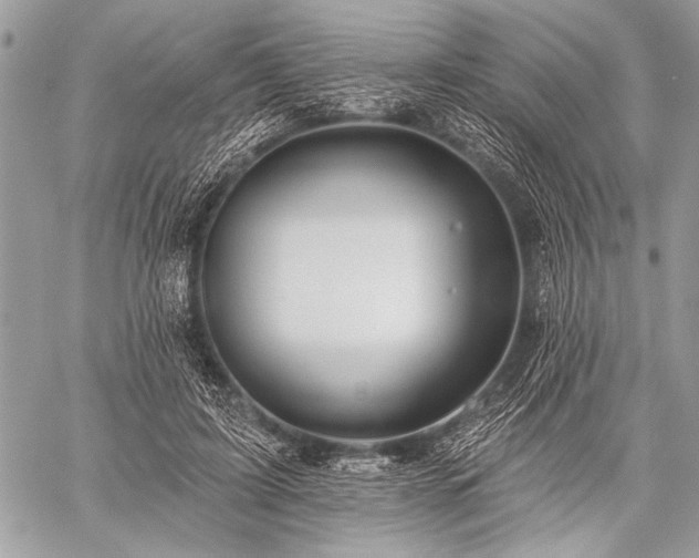 X0000059240595200510171433