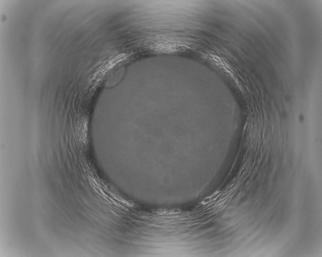 X0000059240596200510171433