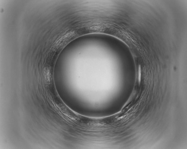 X0000059240597200510171433