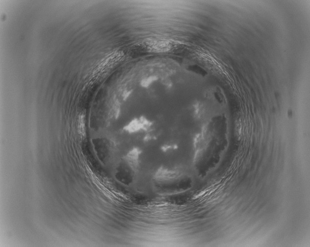 X0000059240598200510171433