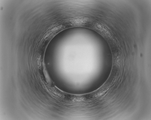 X0000059240599200510171433