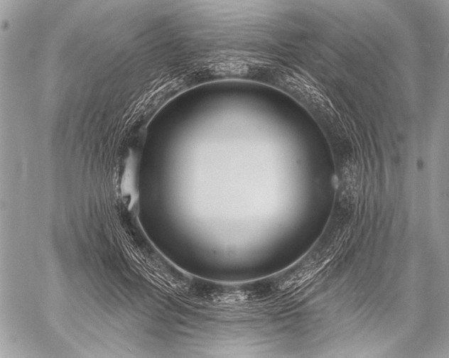 X0000059240600200510171433