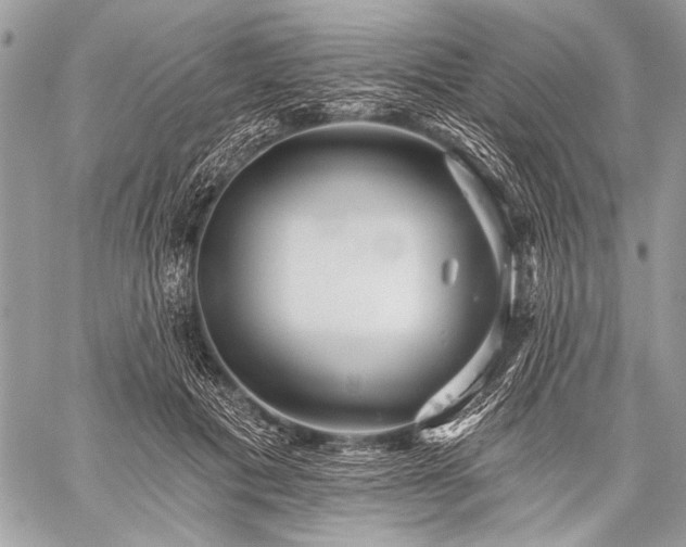 X0000059240601200510171433