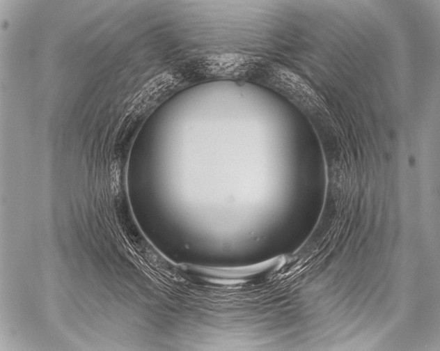 X0000059240602200510171433