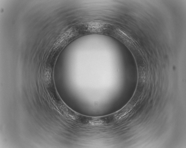 X0000059240603200510171433