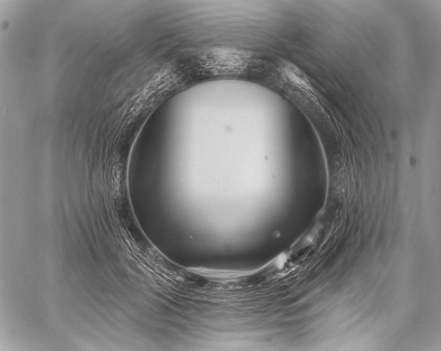 X0000059240604200510171433