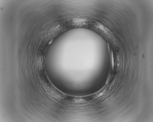 X0000059240605200510171433