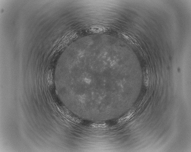 X0000059240606200510171433