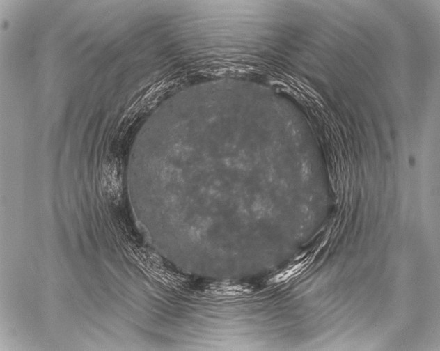 X0000059240607200510171433