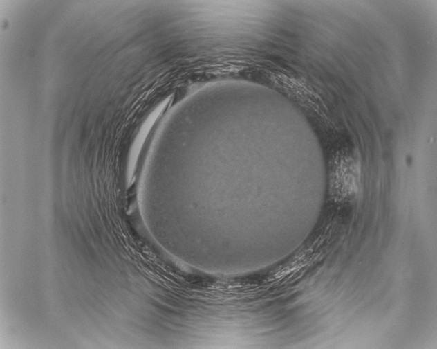 X0000059240608200510171433