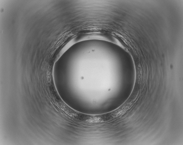 X0000059240609200510171433