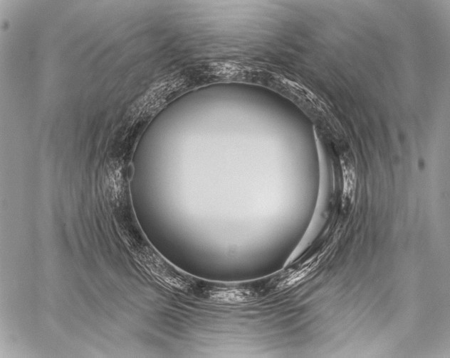 X0000059240611200510171433