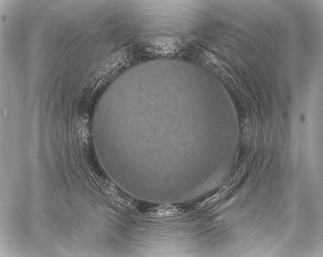 X0000059240612200510171433