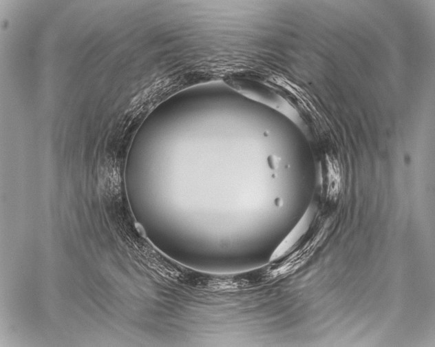 X0000059240613200510171433