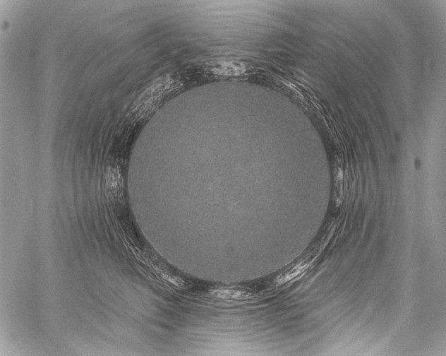 X0000059240614200510171433