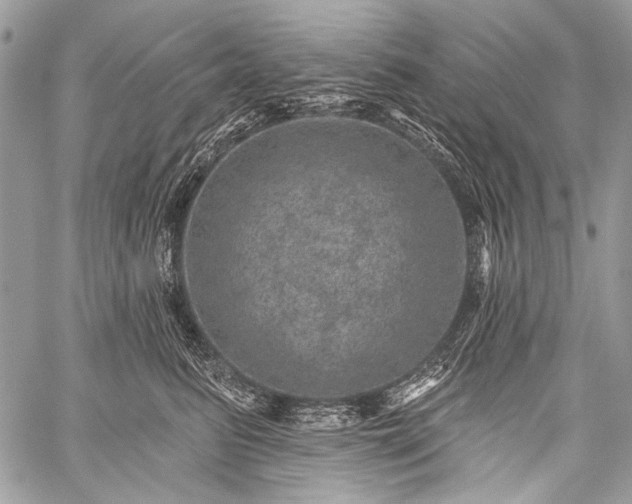 X0000059240615200510171433