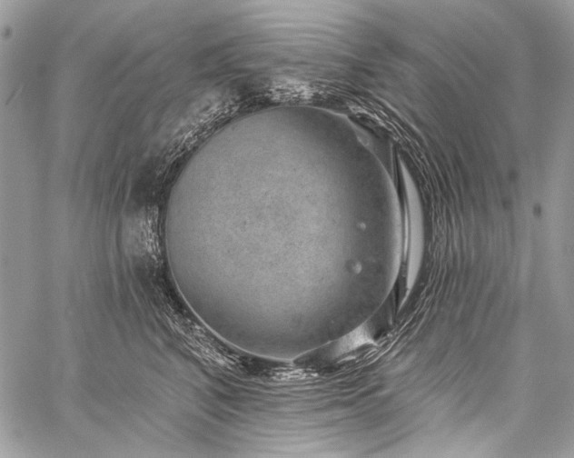 X0000059240616200510171433