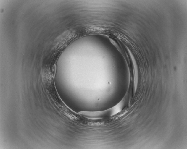 X0000059240617200510171433