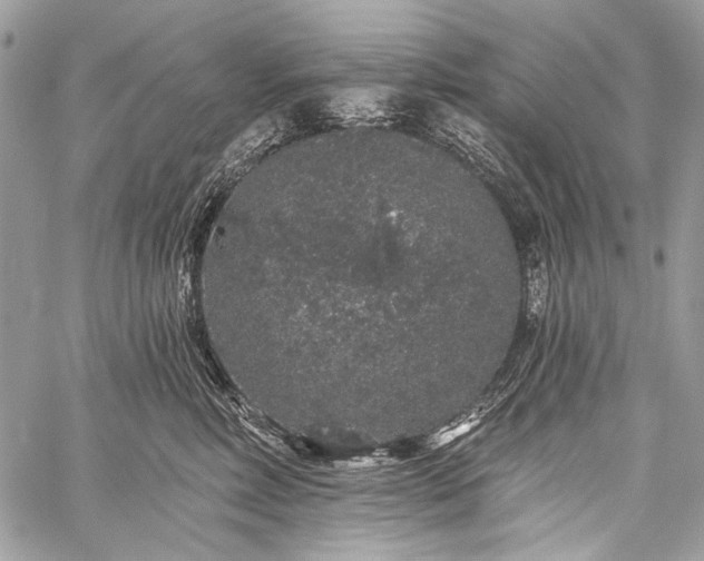 X0000059240618200510171433