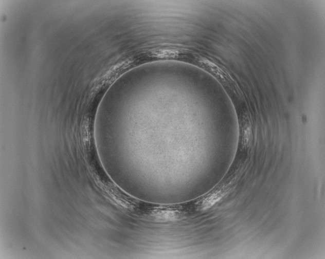 X0000059240620200510171433