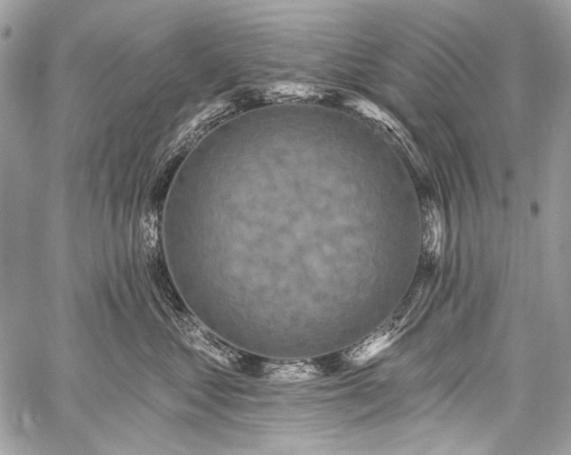 X0000059240621200510171433