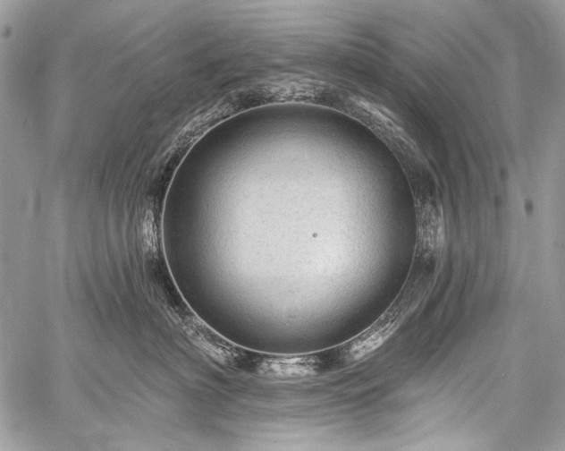 X0000059240622200510171433