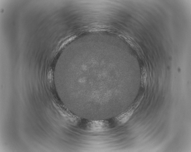 X0000059240623200510171433