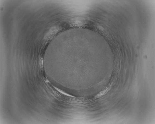 X0000059240624200510171433