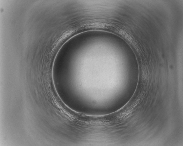 X0000059240625200510171432