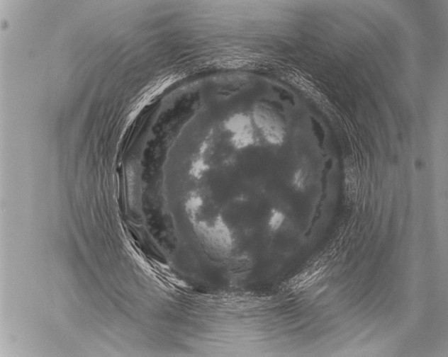 X0000059240626200510171432