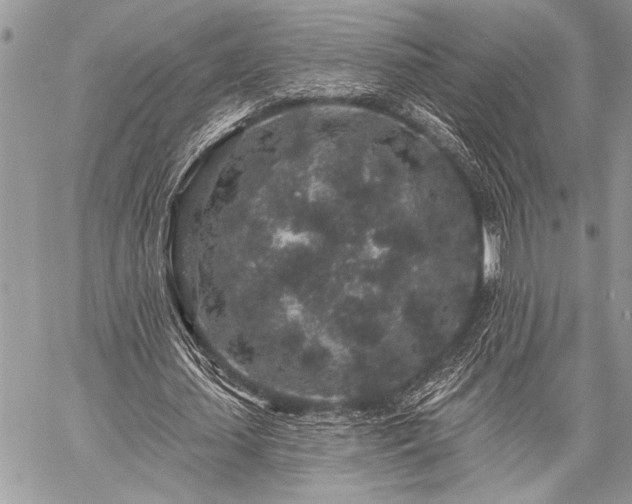 X0000059240627200510171432