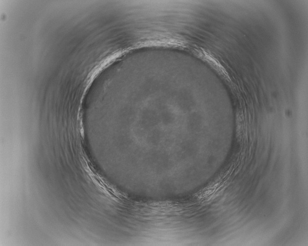 X0000059240628200510171432