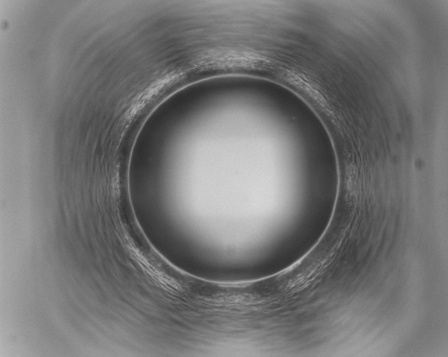 X0000059240629200510171432