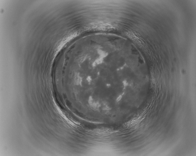 X0000059240630200510171432