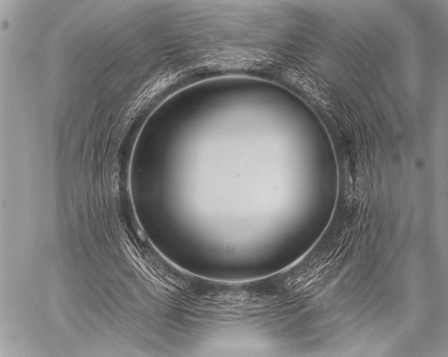 X0000059240631200510171432