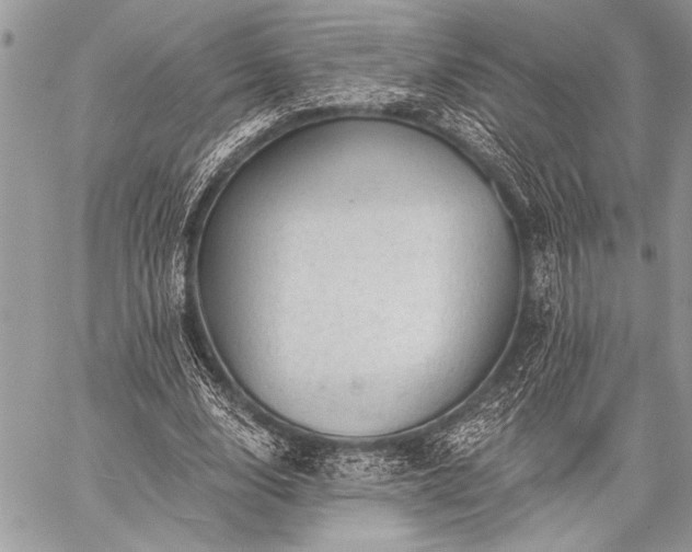 X0000059240632200510171432