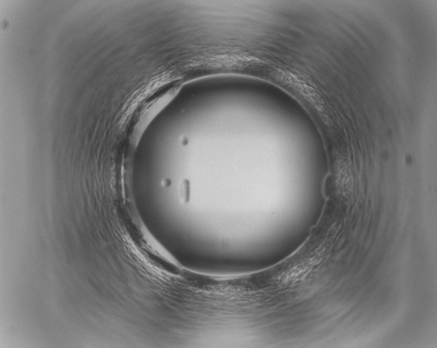 X0000059240633200510171432