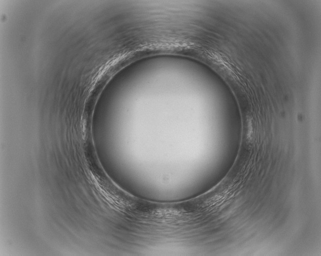 X0000059240636200510171432