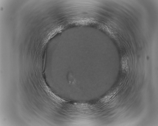 X0000059240637200510171432