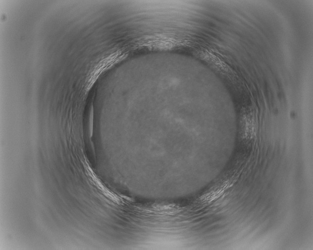 X0000059240638200510171432