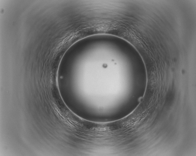 X0000059240639200510171432