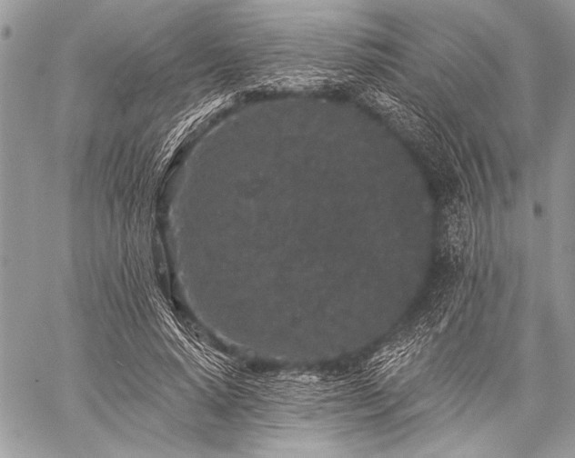 X0000059240640200510171432