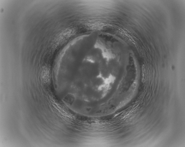 X0000059240641200510171432