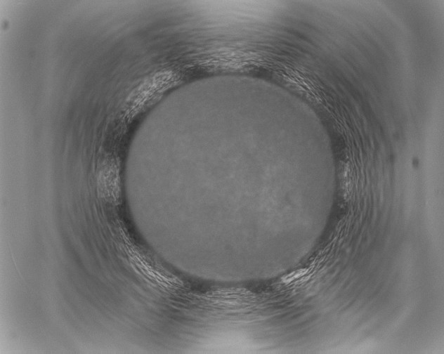 X0000059240642200510171432