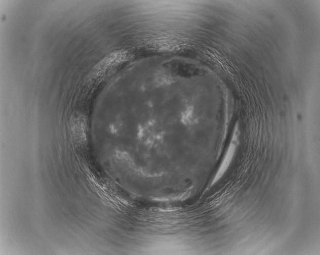 X0000059240643200510171432