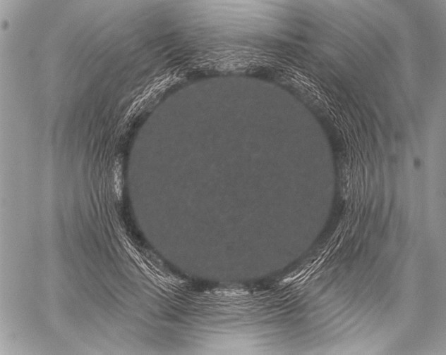 X0000059240644200510171432