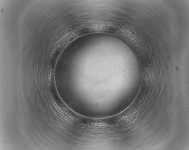 X0000059240645200510171432