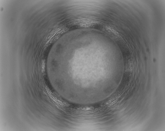 X0000059240646200510171432