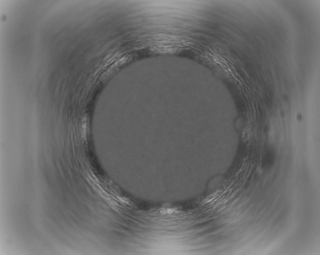 X0000059240647200510171432