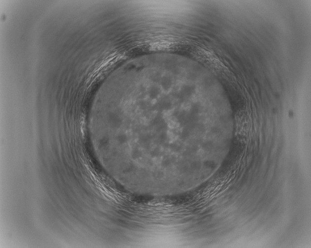 X0000059240648200510171432